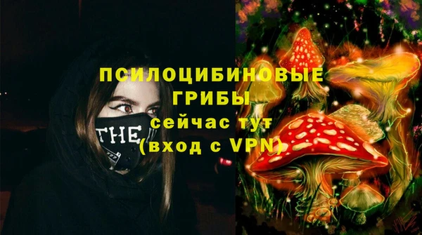 прущая мука Кулебаки