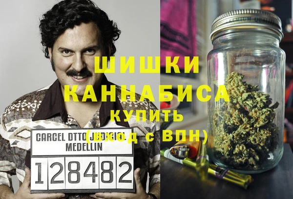 дурь Краснослободск