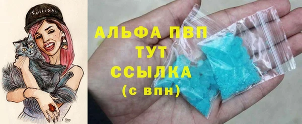 СК Куйбышев