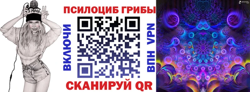 Галлюциногенные грибы Psilocybine cubensis  Купить  Вяземский 